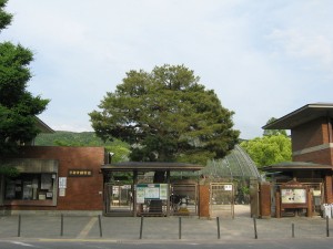 京都動物園