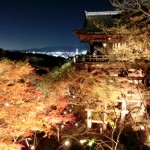 清水寺の桜ライトアップ
